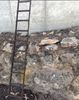 IMG_4508.jpeg