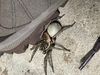 IMG_4535.jpeg