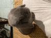 IMG_4556.jpeg