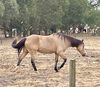 IMG_4923.jpeg
