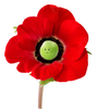 original (11).png