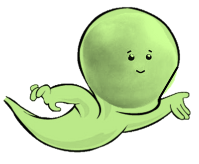 medium.png