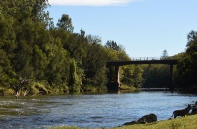 This bridge goes under water at least once every year.