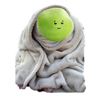 Pea Blanket.png