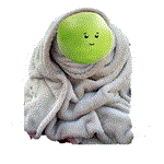 circlegif.gif