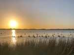 IMG_1318.jpeg